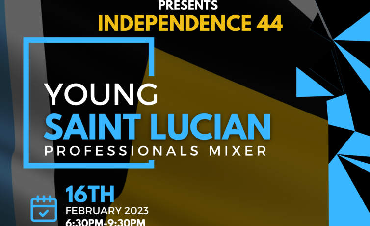 ind44Young Saint Lucian Professionals Mixer-2